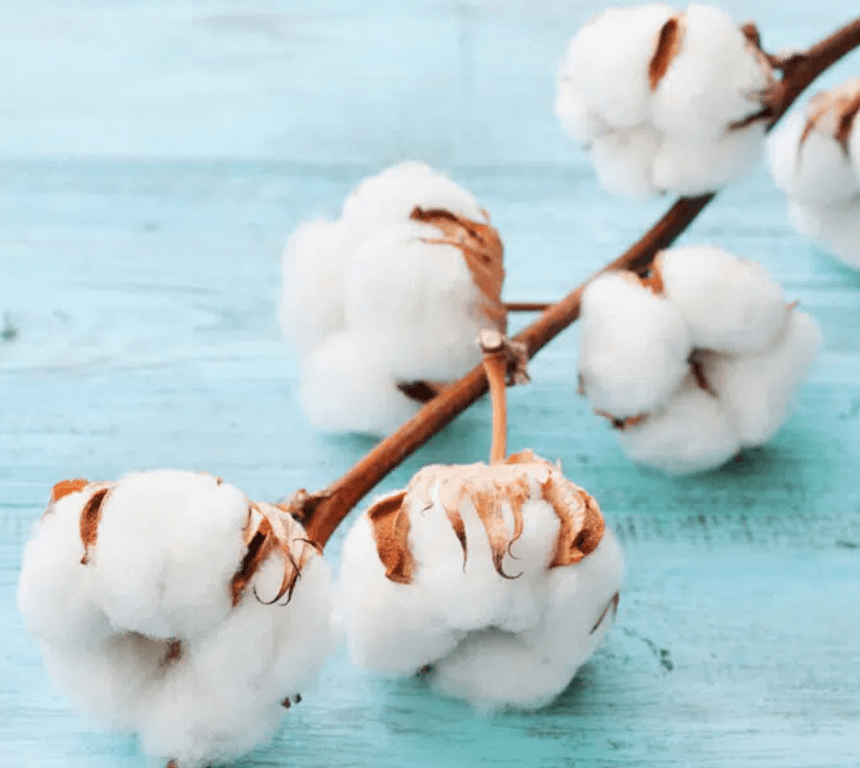 Screenshot_12 (14) Screenshot_12 (14)