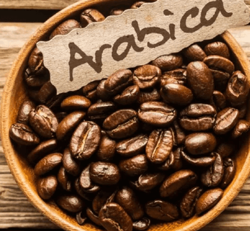 Screenshot_29 (1) Screenshot_29 (1)